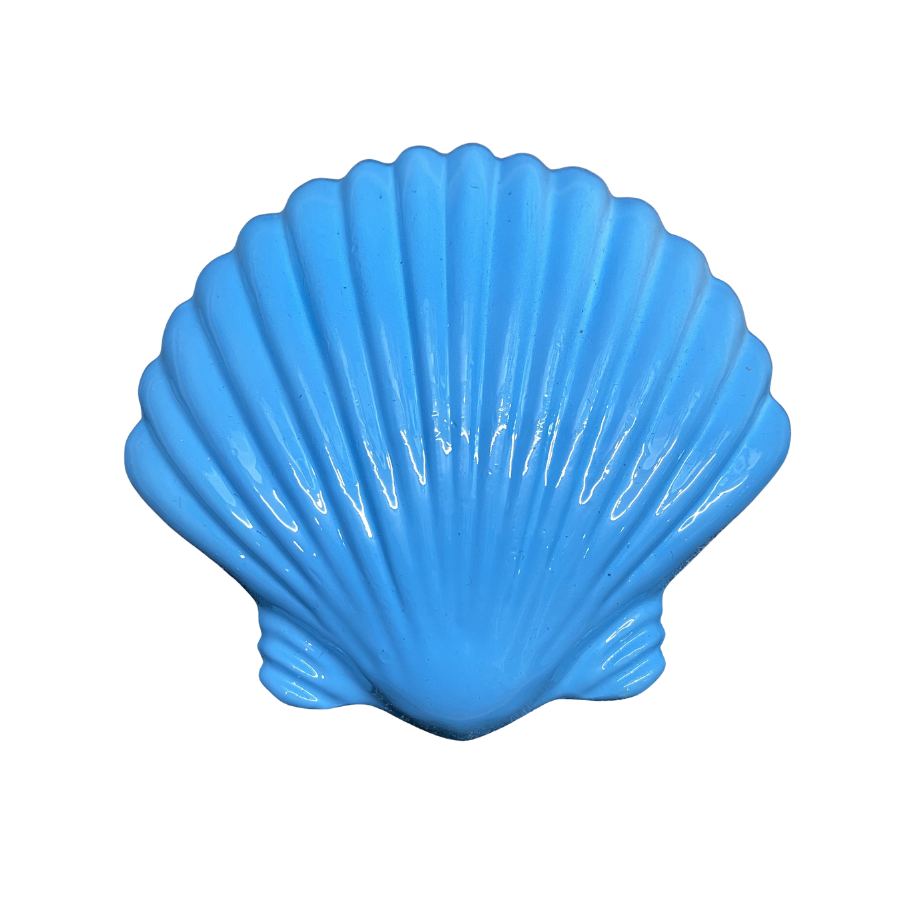 Chì lặn biển hình vỏ sò Searay 2 Chì lặn biển hình vỏ sò Searay - Ảnh 2
