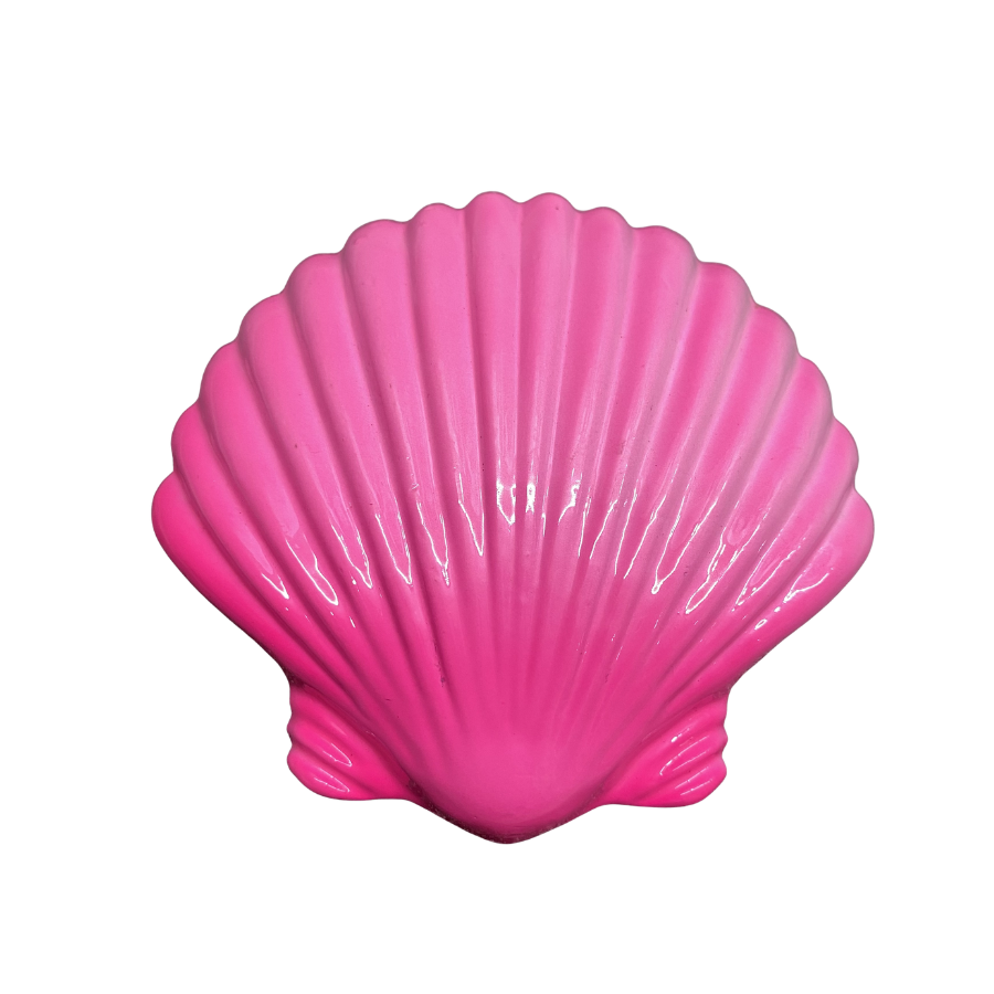 Chì lặn biển hình vỏ sò Searay 5 Chì lặn biển hình vỏ sò Searay - Ảnh 5