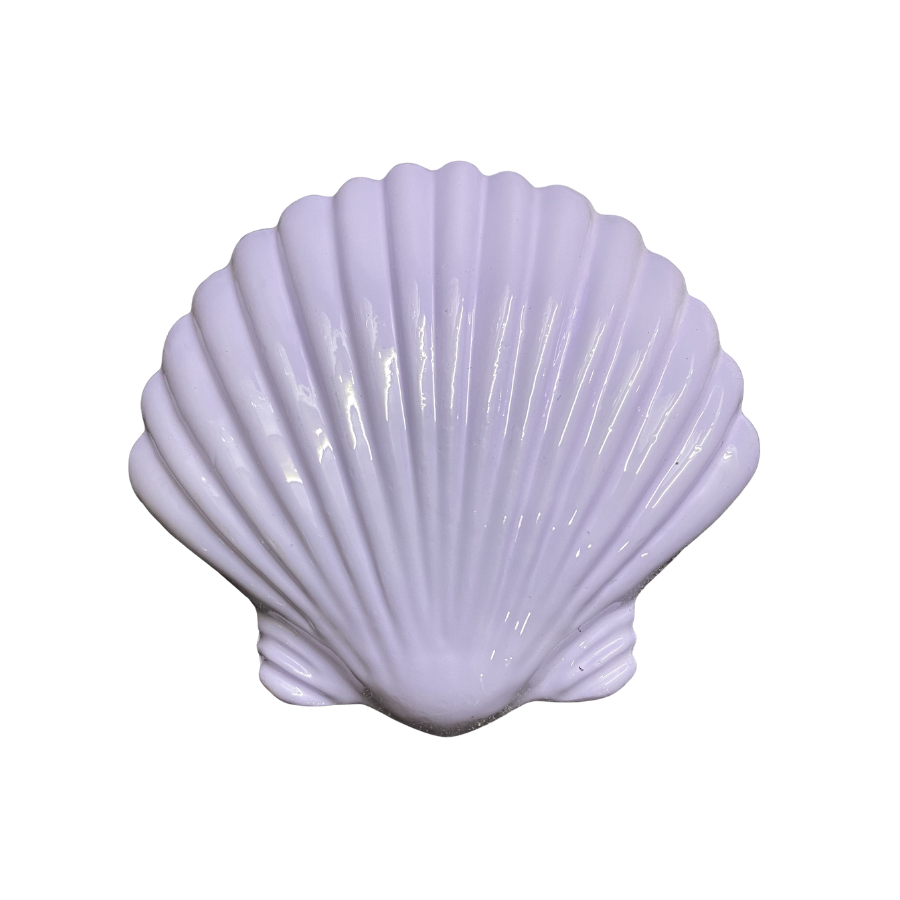 Chì lặn biển hình vỏ sò Searay 6 Chì lặn biển hình vỏ sò Searay - Ảnh 6